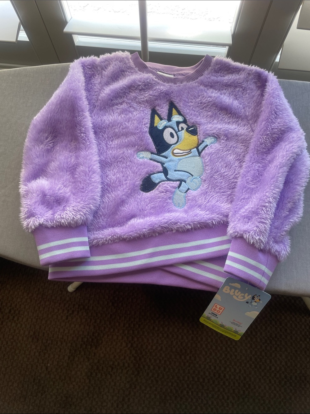 Bluey Lavender Plush Kids Sweatshirt with Bluey Embroidered Patch Size 3T
